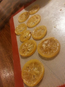 feeling the lemon squeeze (30)